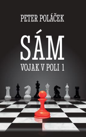 Obálka knihy Sám vojak v poli - (1. diel)