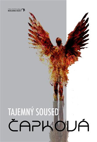 Obálka knihy Tajemný soused