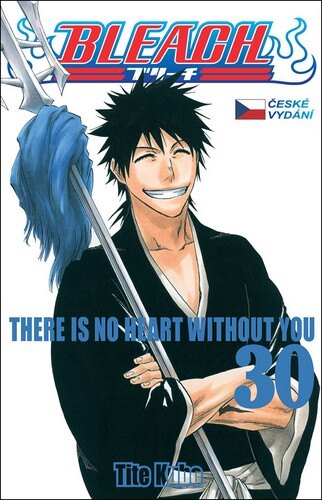 Obálka knihy Bleach 30
