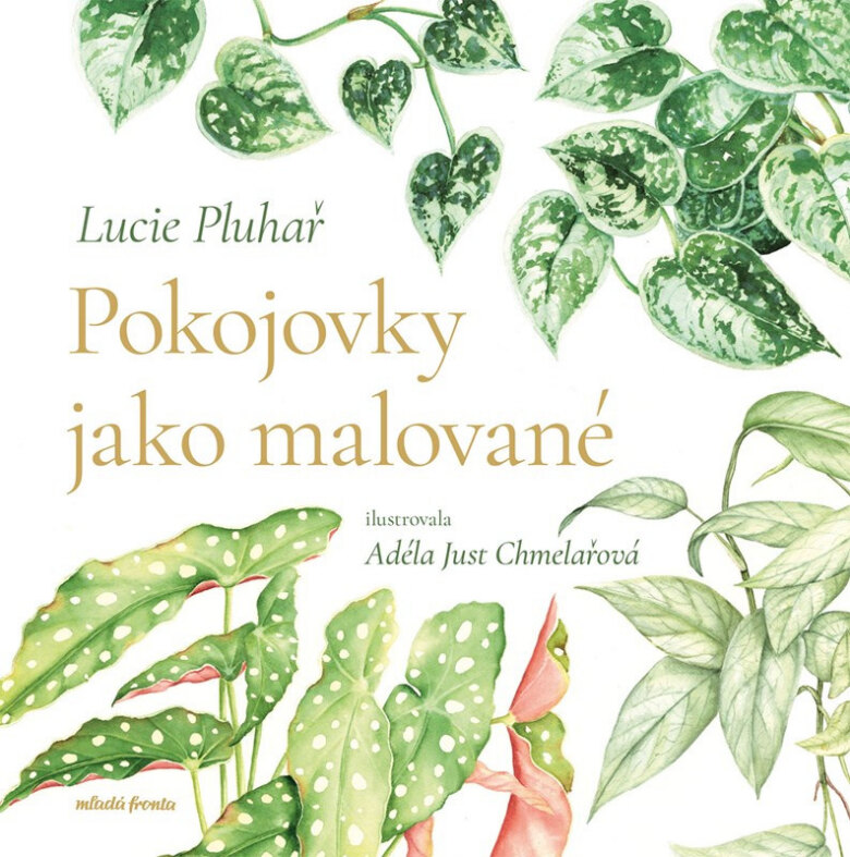 Obálka knihy Pokojovky jako malované
