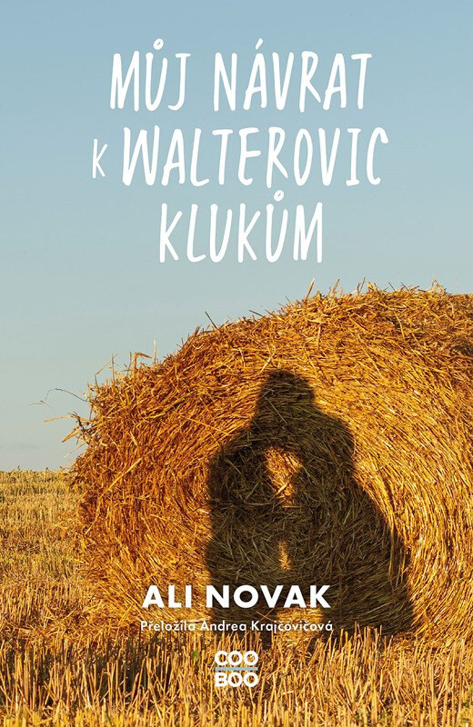 Obálka knihy Můj návrat k Walterovic klukům