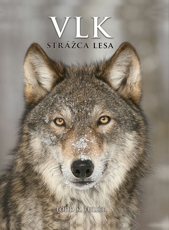 Obálka knihy Vlk: Strážca lesa