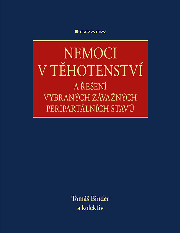 Obálka knihy Nemoci v těhotenství