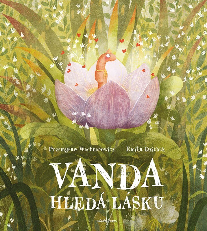 Obálka knihy Vanda hledá  lásku