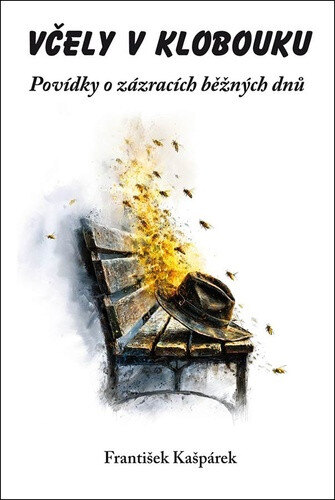 Obálka knihy Včely v klobouku