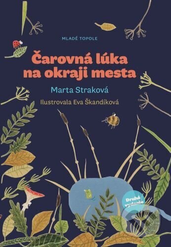 Obálka knihy Čarovná lúka na okraji mesta