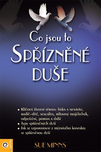 Obálka knihy Co jsou to spřízněné duše