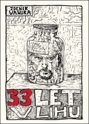 Obálka knihy 33 let v lihu