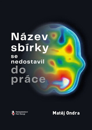 Obálka knihy Název sbírky se nedostavil do práce