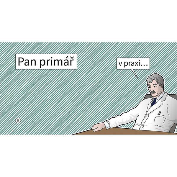 Obálka knihy Pan primář v praxi...