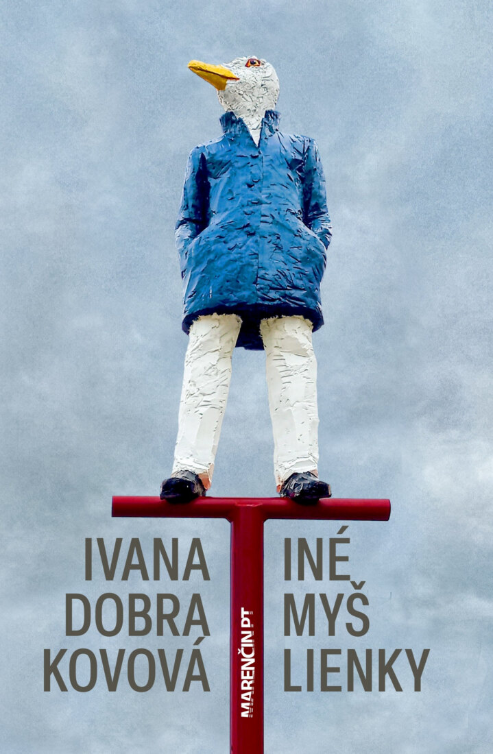 Obálka knihy Iné myšlienky
