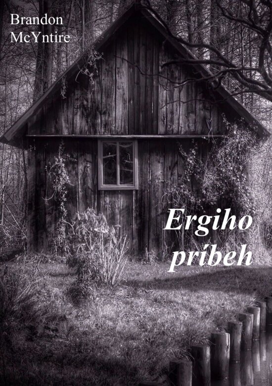Obálka knihy Ergiho príbeh