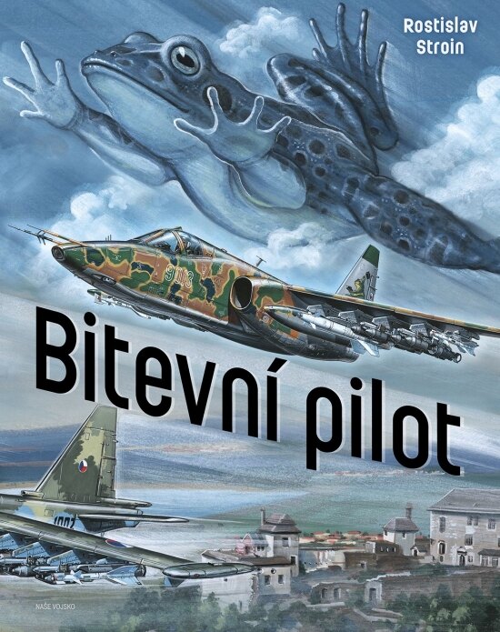 Obálka knihy Bitevní pilot