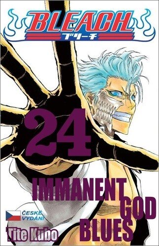 Obálka knihy Bleach 24