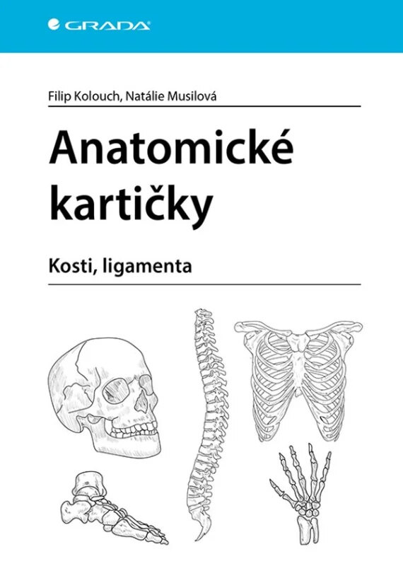Obálka knihy Anatomické kartičky