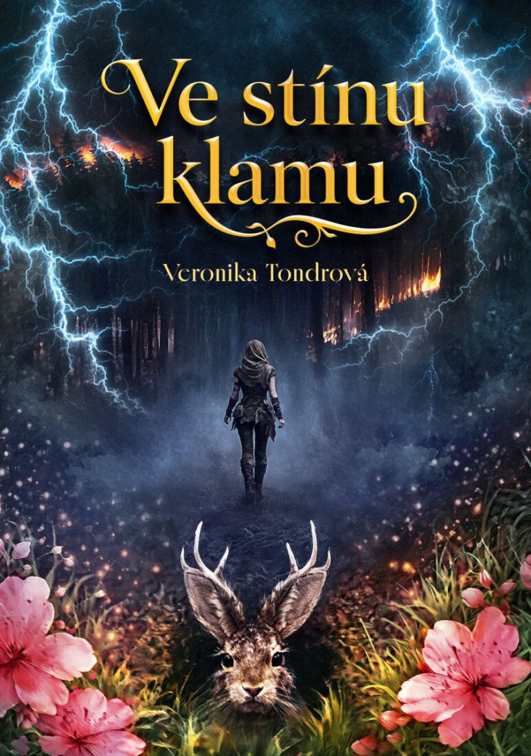 Obálka knihy Ve stínu klamu