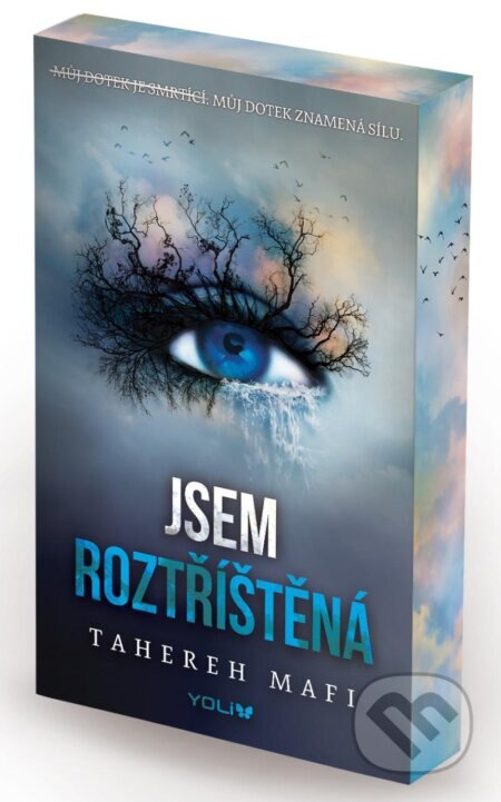 Obálka knihy Jsem roztříštěná