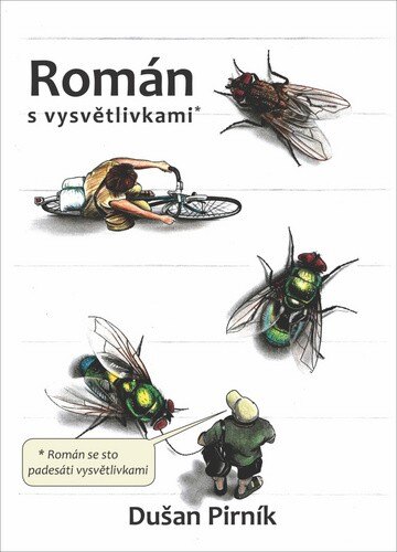 Obálka knihy Román s vysvětlivkami