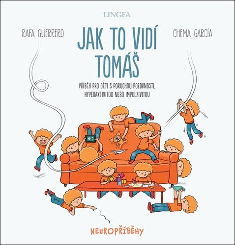 Obálka knihy Jak to vidí Tomáš