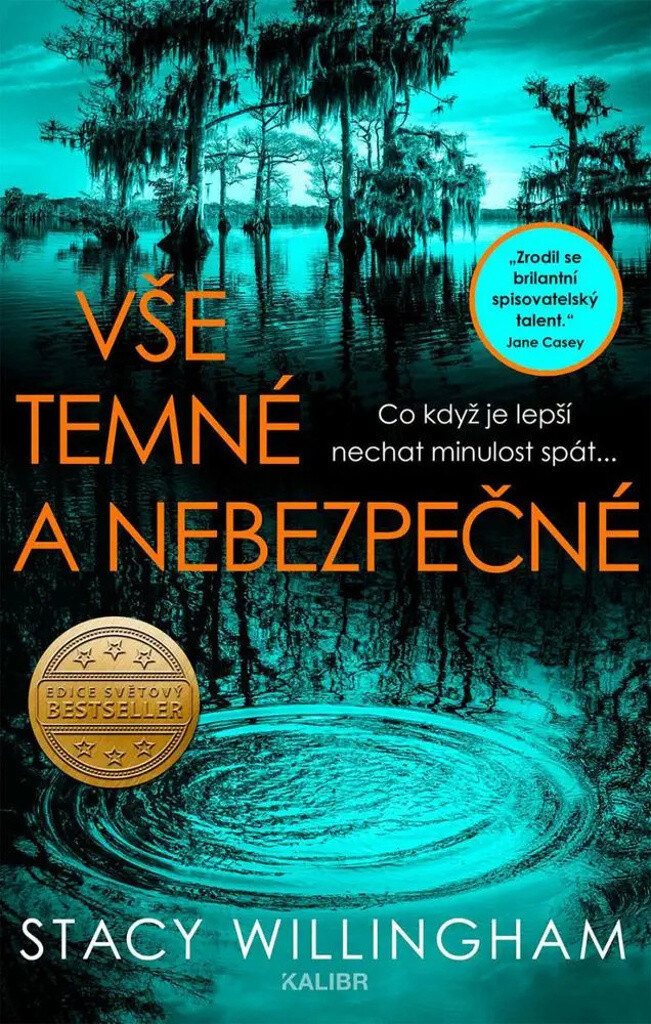 Obálka knihy Vše temné a nebezpečné