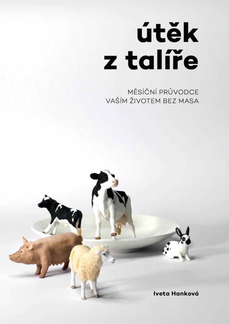 Obálka knihy Útěk z talíře
