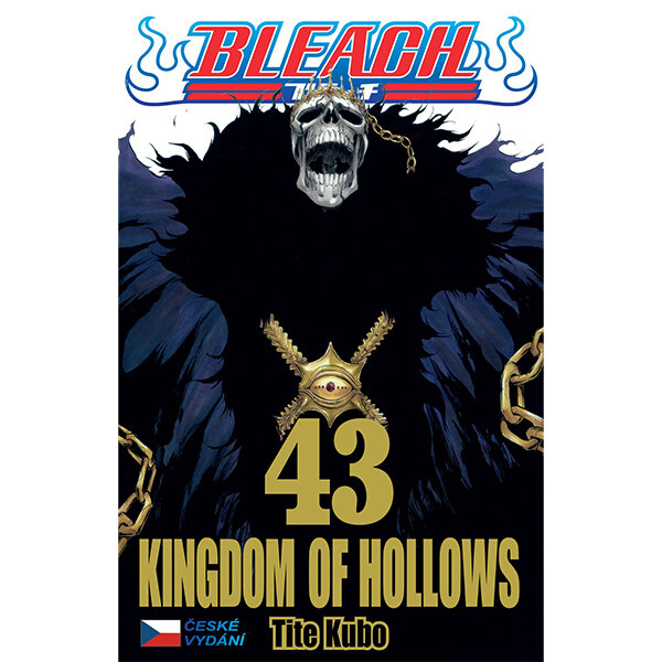 Obálka knihy Bleach 43: Kingdom of Hollows