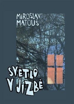 Obálka knihy Světlo v jizbě