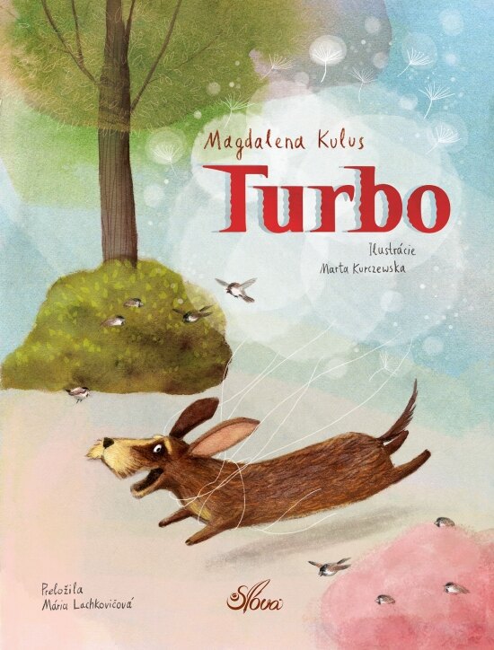Obálka knihy Turbo