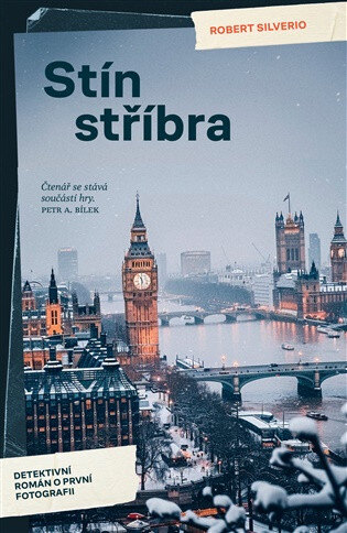 Obálka knihy Stín stříbra