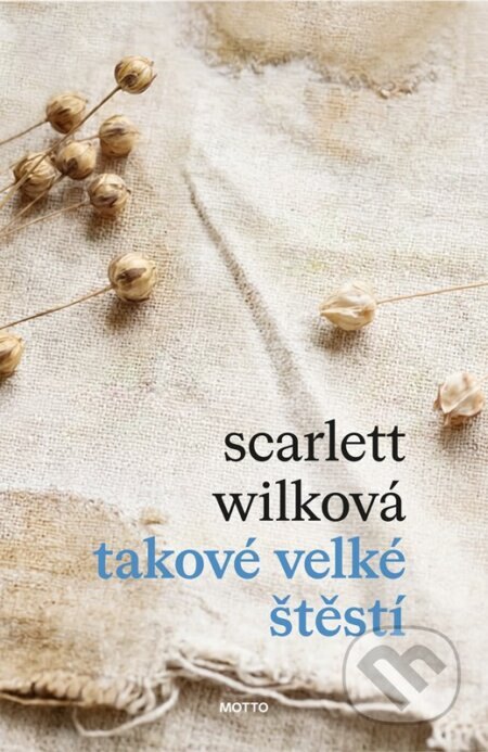 Obálka knihy Takové velké štěstí