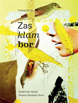 Obálka knihy Zasklambor