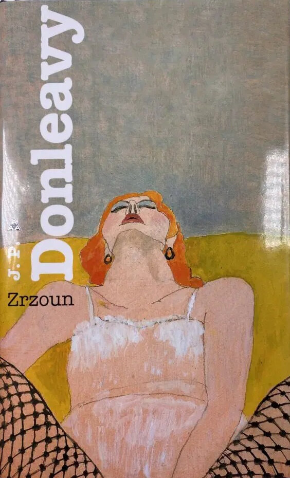 Obálka knihy Zrzoun