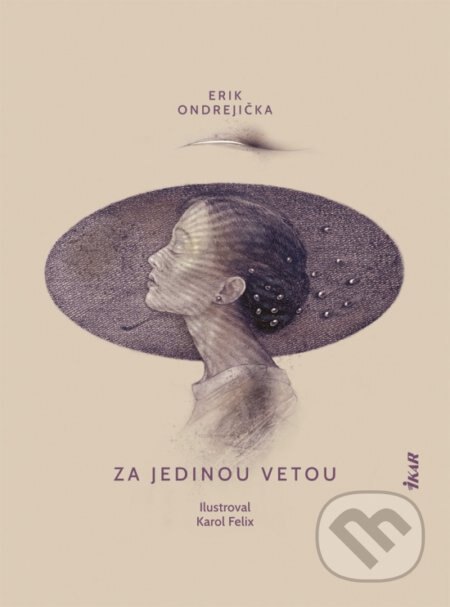 Obálka knihy Za jedinou vetou