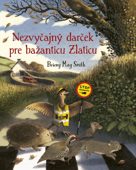 Obálka knihy Nezvyčajný darček pre bažanticu Zlaticu