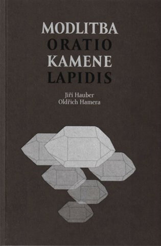 Obálka knihy Modlitba kamene / Oratio lapidis