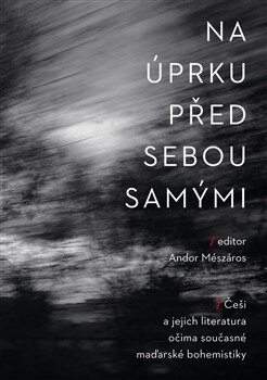 Obálka knihy Na úprku před sebou samými