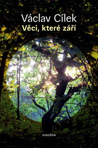 Obálka knihy Věci, které září