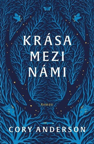 Obálka knihy Krása mezi námi