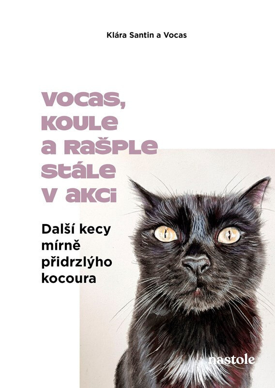 Obálka knihy Další kecy mírně přidrzlýho kocoura