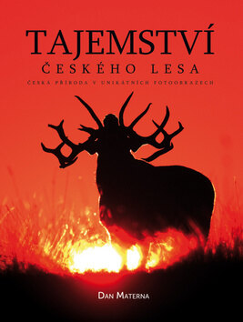 Obálka knihy Tajemství českého lesa (1. akosť)