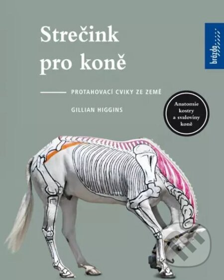 Obálka knihy Strečink pro koně