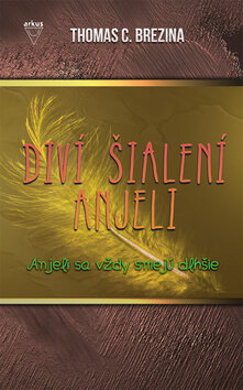 Obálka knihy Anjeli sa vždy smejú dlhšie - Diví šialení anjeli