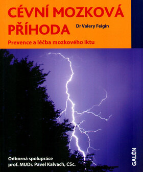 Obálka knihy Cévní mozková příhoda