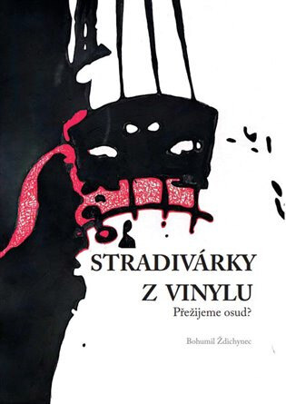 Obálka knihy Stradivárky z vinylu
