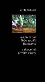 Obálka knihy Jak jsem pro tebe zapálil Barcelonu