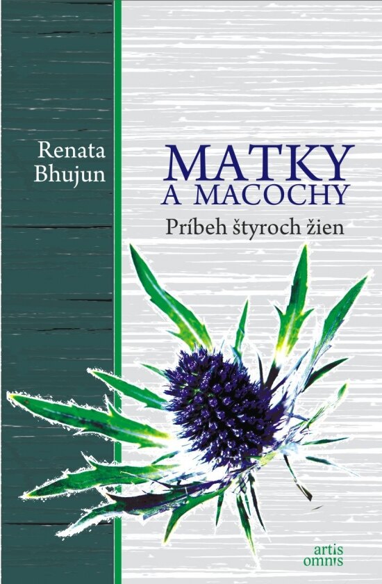 Obálka knihy Matky a macochy