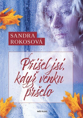 Obálka knihy Přišel jsi, když venku pršelo
