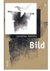 Obálka knihy Bild