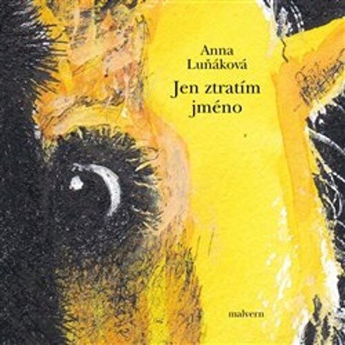 Obálka knihy Jen ztratím jméno