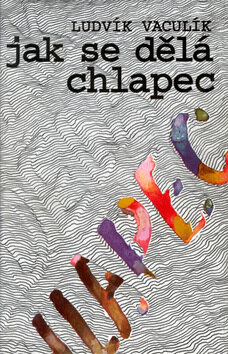 Obálka knihy Jak se dělá chlapec